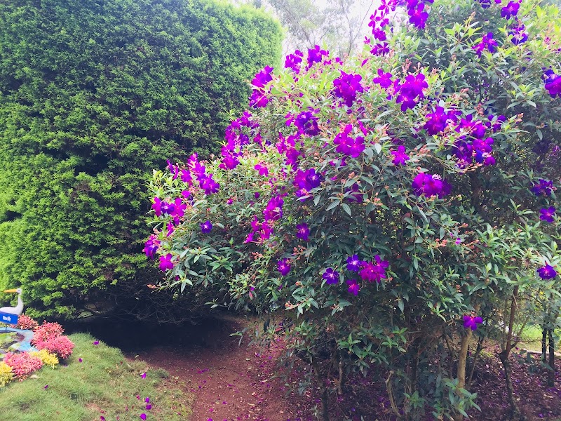 Govt. Botanical Garden - Yercaud - Govt. Botanical Garden - Yercaud 30/68, Ondikadai, Salem - Yercaud Ghat Road, Yercaud, Tamil Nadu 636602, India