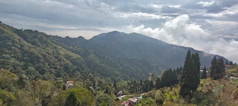 The Breeze Homestay - The Breeze Homestay 268W+9X4, West Point, Darjeeling, West Bengal 734102, India