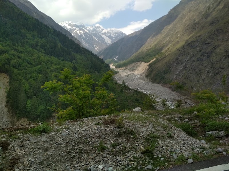 Nanda Devi Wildlife Sanctuary - Nanda Devi Wildlife Sanctuary, Nandadevi range, HHGH+2WV, Auli Rd, Joshimath Army Area, Joshimath, Uttarakhand 246443, India