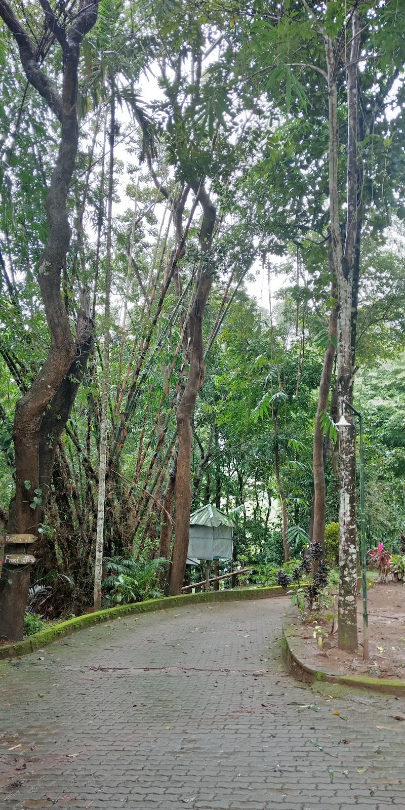 Blooms Green Farm Resorts - Blooms Green Farm Resorts Opp: Kenichira Police Station, Kenichira, Kerala 673596, India