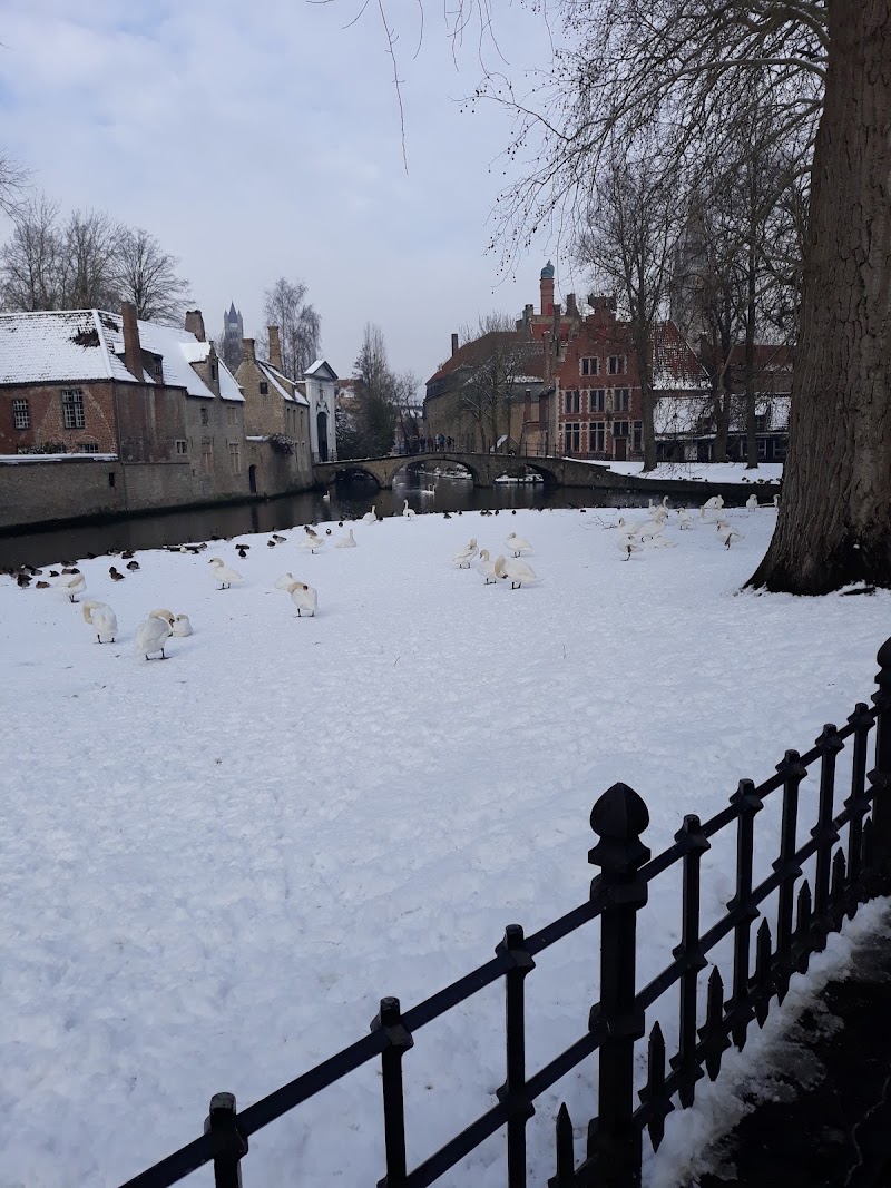 Minnewater - Minnewater, 8000 Brugge, Belgium