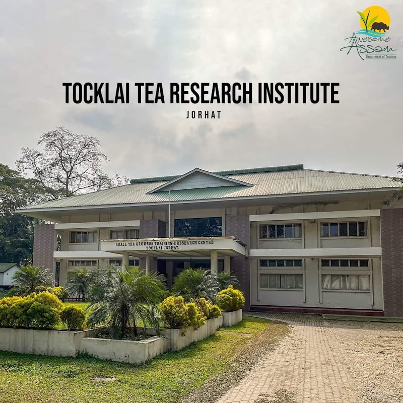Tocklai Tea Research Institute - Tocklai Tea Research Institute, Cinnamara, Tocklai Tea Research Institute, Lichubari, Jorhat, Jorhat CD Block Part, Assam 785008, India