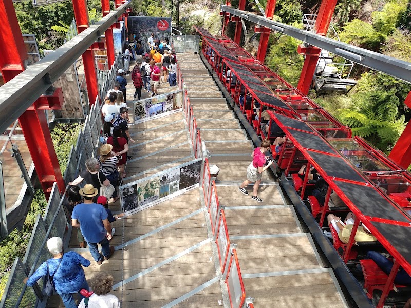 Scenic World - Scenic World 1 Violet St, Katoomba NSW 2780, Australia