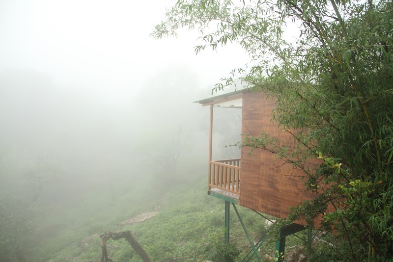 Forest Eco Resort (Resort Like Homestay) - Forest Eco Resort (Resort Like Homestay) Sunrise Valley Road, Near Check Post (Nagarpalika Tax Entry Point), Mt Abu Rd, Mt Abu, Mount Abu, Rajasthan 307501, India