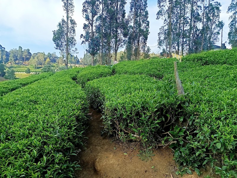 Travel2ooty - Travel2ooty EMA Complex, Above Vishal Book Center, Near Atc Bus stand Manikoondu, Upper Bazar, Ooty, Tamil Nadu 643001, India