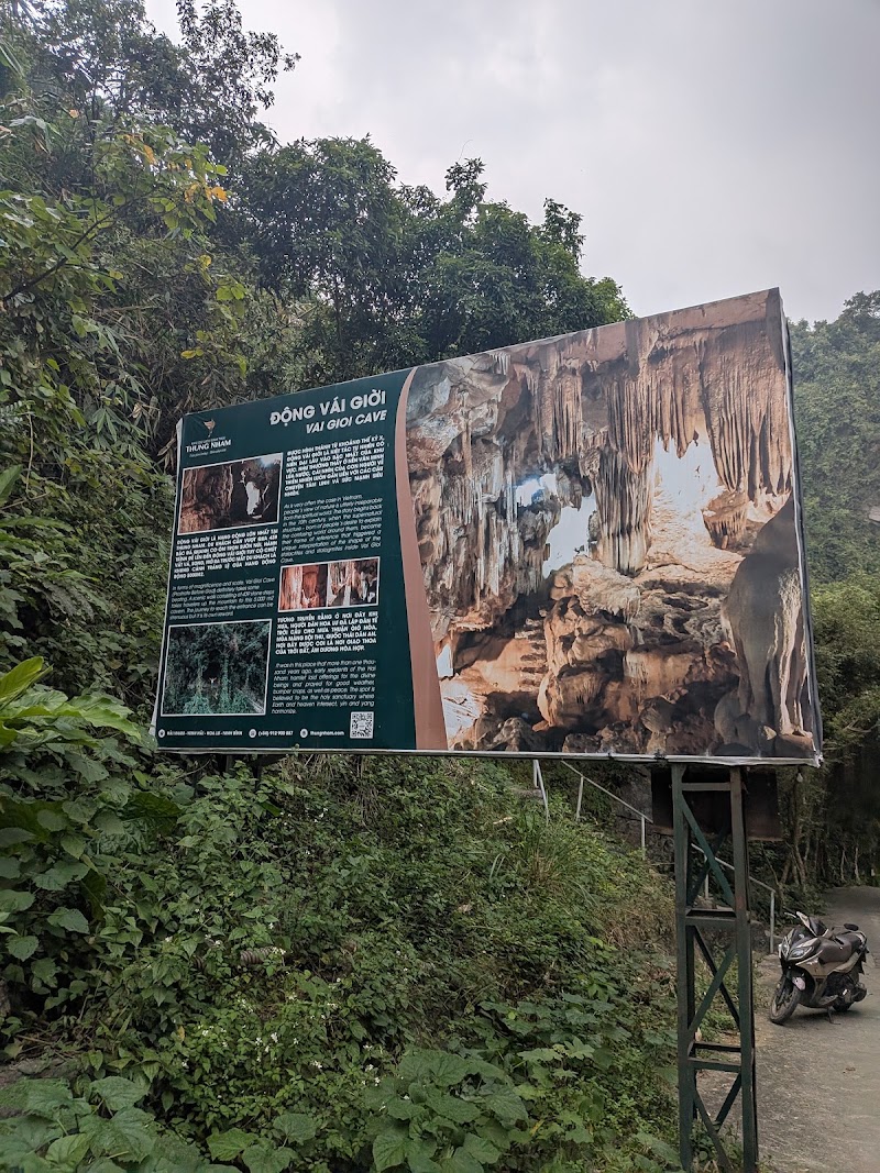 Vai Gioi Cave - Vai Gioi Cave, 6W82+C77, Nam Hoa Lu, Ninh Binh, Vietnam