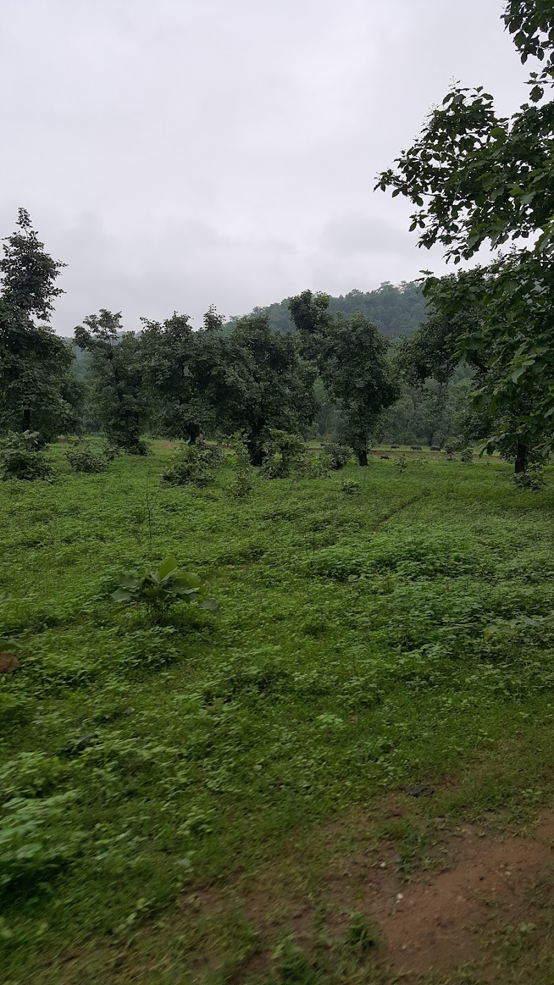 Tawa Dam - Tawa Dam Tawa Dam, Madhya Pradesh 461551, India