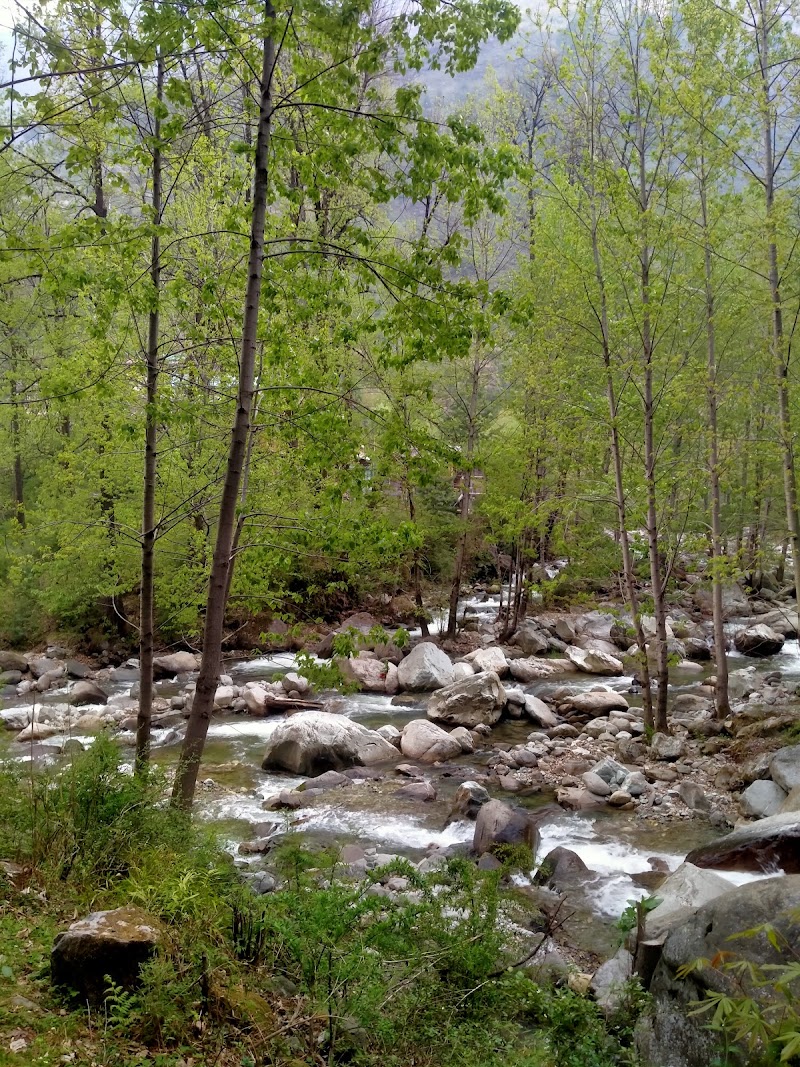 Tirthan Valley Pine View Home Stay - Tirthan Valley Pine View Home Stay, Vill. Faryadi Tirthan Valley, Pine View Home Stay, Banjar, Chippni, Himachal Pradesh 175123, India