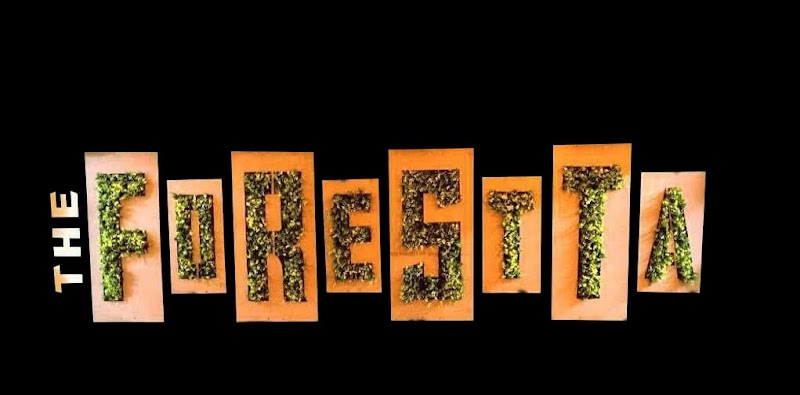 The Forestta - Best Cafe in Gurgaon - The Forestta - Best Cafe in Gurgaon sarsawti kunj, Plot No 27, Golf Course Rd, opposite Alchemist Hospital, Suncity, Sector 54, Gurugram, Haryana 122003, India