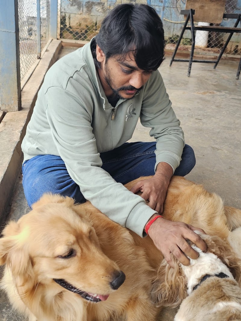 Wille's Pet Paradise - Wille's Pet Paradise 55, Sarjapur - Marathahalli Rd, Petrapebbles layout, Mullur, Bengaluru, Karnataka 560035, India