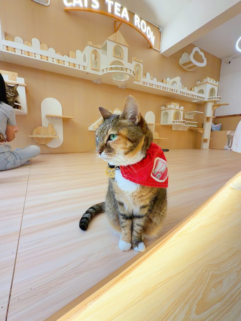 Cats Tea Room Tsuen Wan - Cats Tea Room Tsuen Wan Hong Kong, Tsuen Wan, Chung On St, 110號1樓