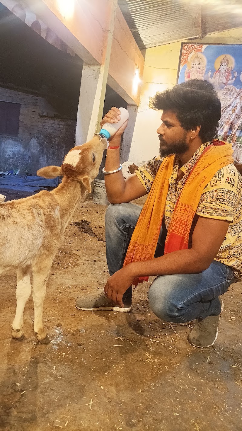 Shree Krishn Gau Seva Dham Kusmunda विश्व हिंदू परिषद बजरंग दल - Shree Krishn Gau Seva Dham Kusmunda विश्व हिंदू परिषद बजरंग दल, Adarsh Nagar, Mangaw, Chhattisgarh 495454, India