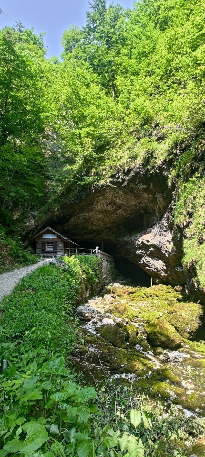 Koppenbrüller Cave - Koppenbrüller Cave, Winkl 34, 4831 Obertraun, Austria