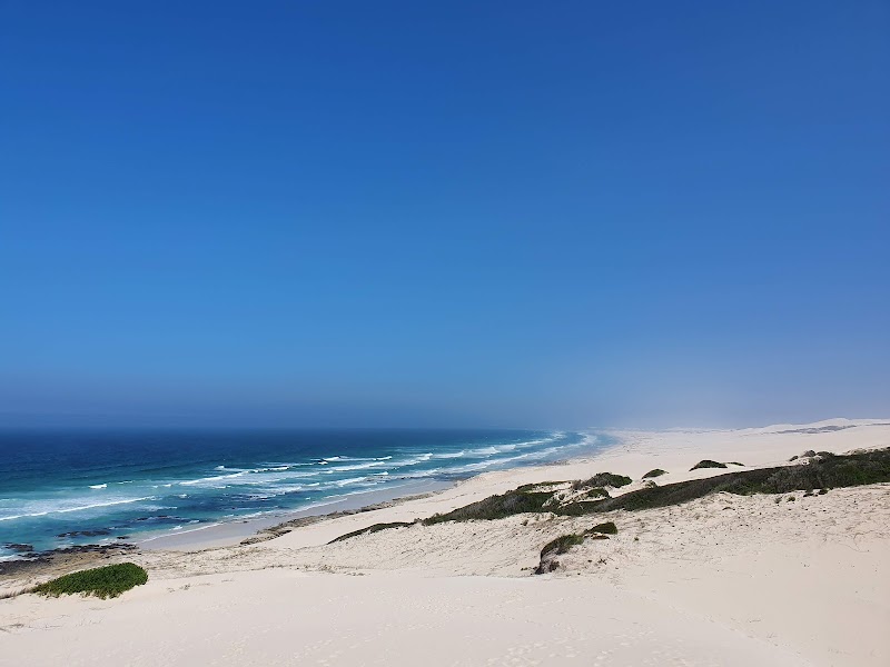 De Hoop Nature Reserve - De Hoop Nature Reserve, Potberg, 6740, South Africa