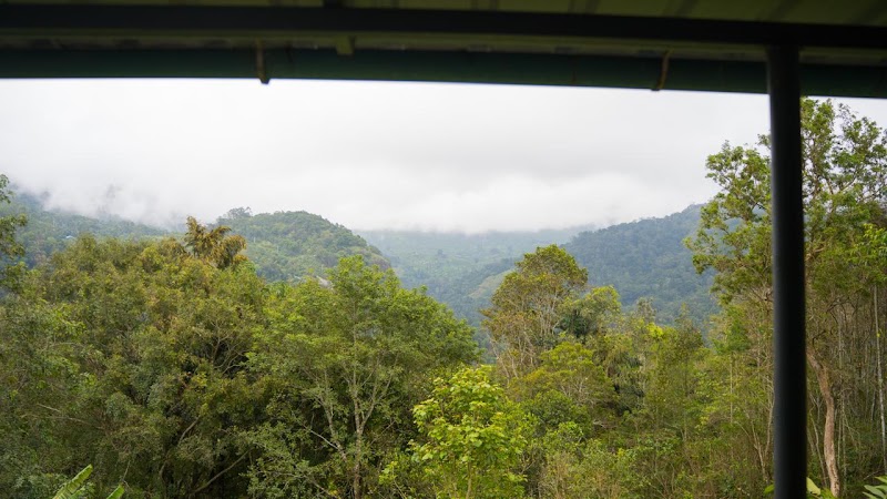 Holt Valley Resort - Holt Valley Resort, southJn, Chithirapuram, Keralam 685565, India