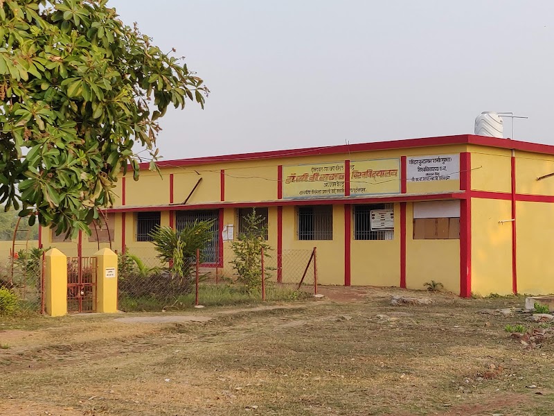 Virangana Avanti Bai Government College Chhuikhadan - Virangana Avanti Bai Government College Chhuikhadan, SH 5, Chhuikhadan, Chhattisgarh 491885, India