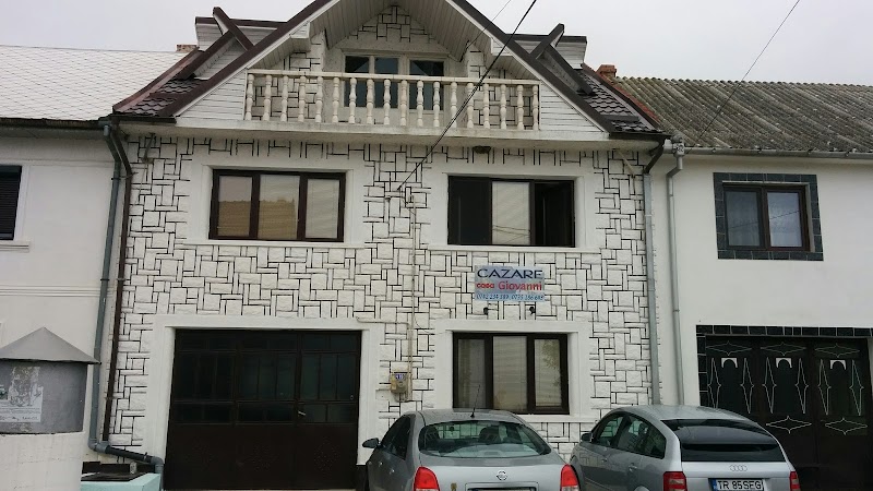 Casa Giovanni - Casa Giovanni Principala 419, 327160 Coronini, Romania