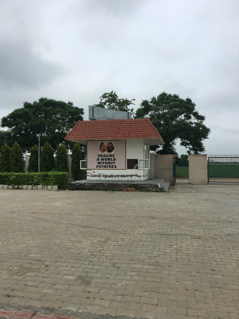 Potato Technology Centre - Potato Technology Centre Ramba Road, Shamgarh, National Highway 1, Karnal, Haryana 132116, India