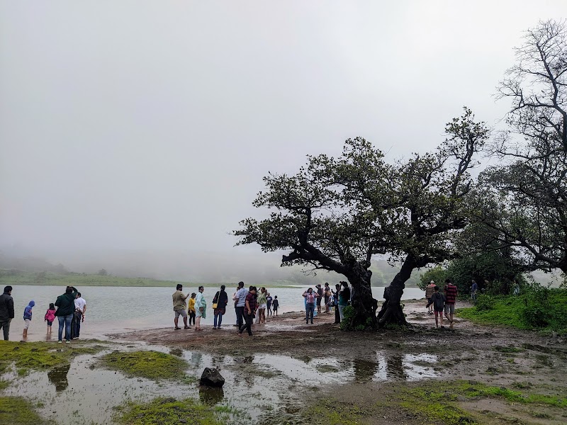 Tungarli dam - Tungarli dam QCG5+GG3, Gold Valley Sector D, Gold Valley, Lonavala, Maharashtra 410403, India
