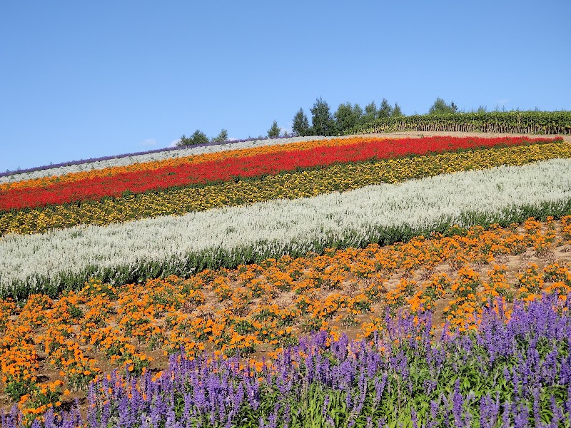 Panoramic Flower Gardens Shikisai-no-oka - Panoramic Flower Gardens Shikisai-no-oka Japan, 〒071-0473 Hokkaido, Kamikawa District, Biei, Shinsei, 第３