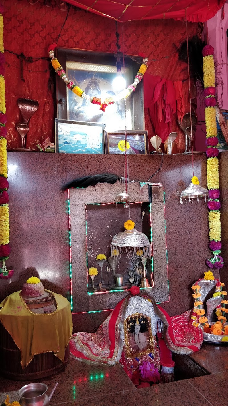 Nag mandir ranital - Nag mandir ranital Nag mandir, Chelian, Himachal Pradesh 176029, India
