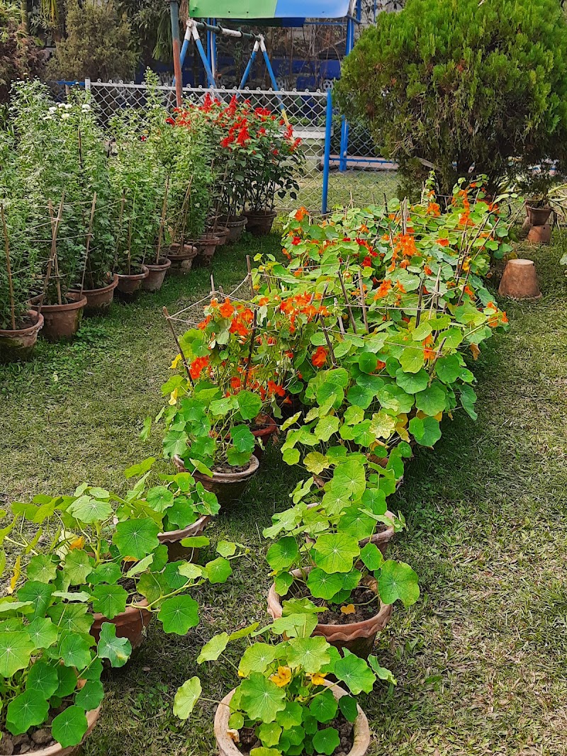 Jodhpur Park Childrens Park - Jodhpur Park Childrens Park, 19, Jodhpur Park, Kolkata, West Bengal 700068, India