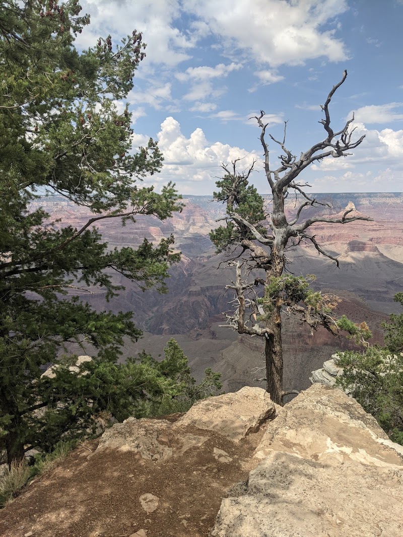 Yavapai Point - Yavapai Point, Grand Canyon Village, AZ 86023, USA
