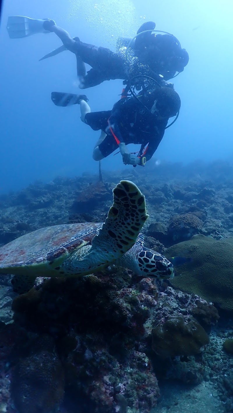 The Dive Ao Nang - The Dive Ao Nang 372, 3, Tambon Ao Nang, Muang, Chang Wat Krabi 81180, Thailand