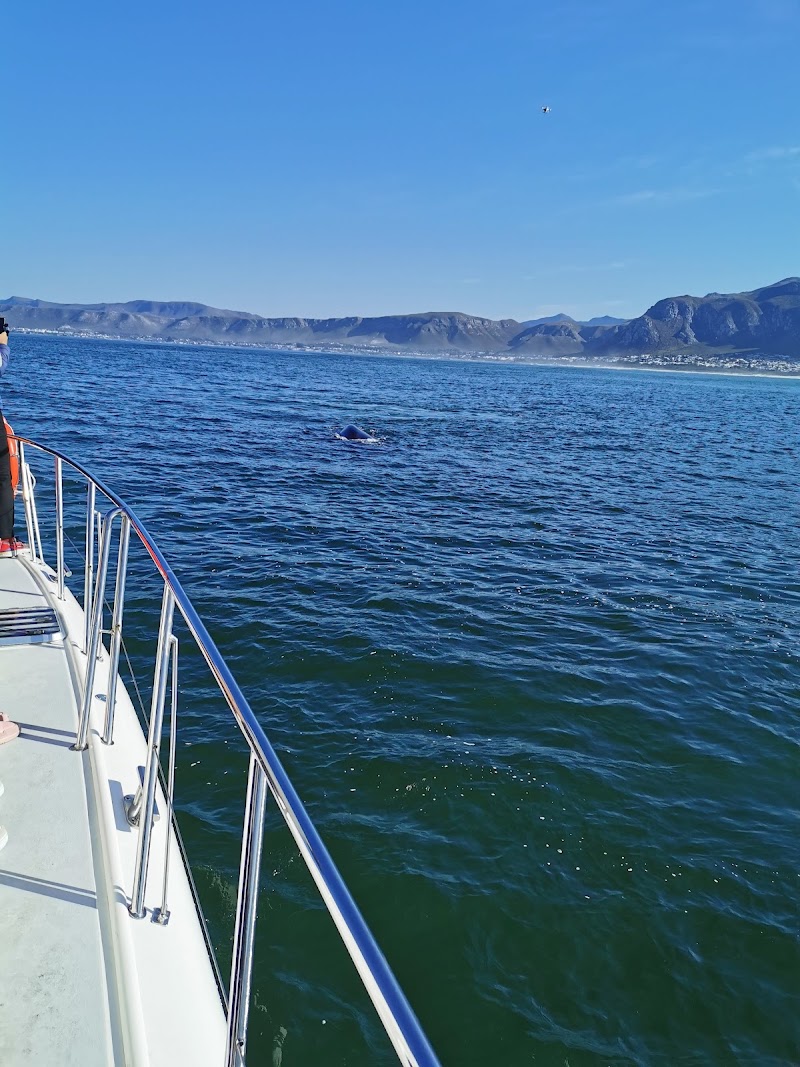 Walker Bay - Walker Bay, South Africa