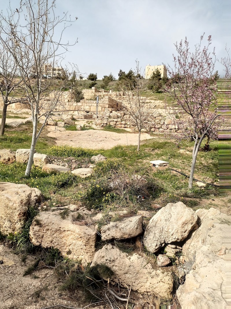 Ar Rajib - Ar Rajib, Amman, Jordan