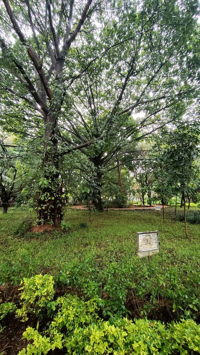 Dhanvanthari Park - Dhanvanthari Park WH5Q+G47, Phase 2, 2nd Phase, J. P. Nagar, Bengaluru, Karnataka 560078, India
