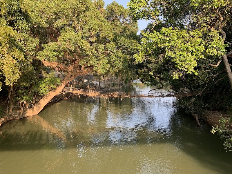 Nisargadhama