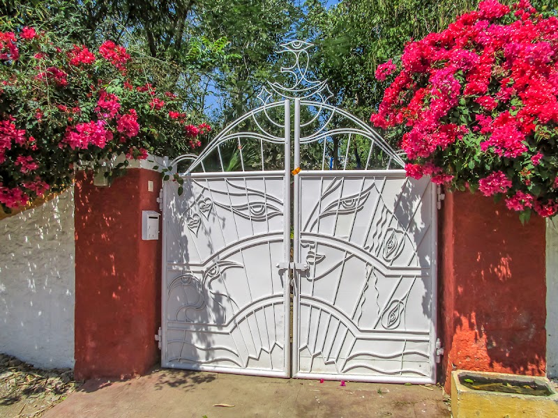 Tara's Garden - Tara's Garden House 2062, Garden No. 12 Azad Nagar, आजाद नगर, Eklavya Colony, Seesaram Rural, Rajasthan 313004, India
