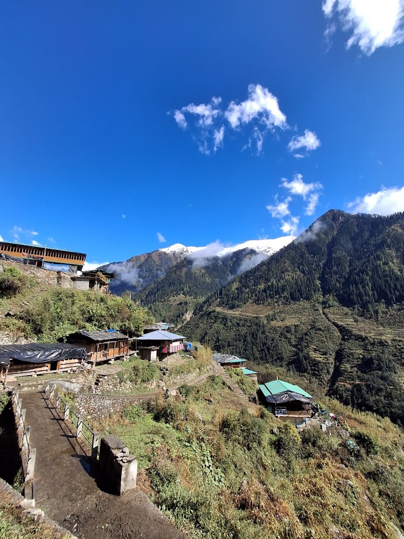 Himalaya Shelter guest house - himalaya shelter guest house, Sankri, Uttarakhand 249128, India