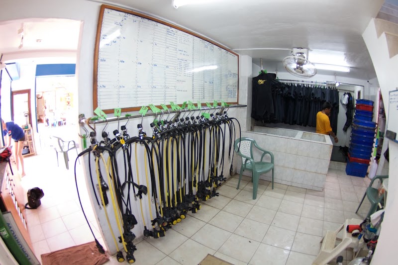 The Adventure Club - Scuba Diving Phi Phi Island - The Adventure Club - Scuba Diving Phi Phi Island Phi Phi Island 125/ 19, ตำบล อ่าวนาง Muang, กระบี่ 81210, Thailand