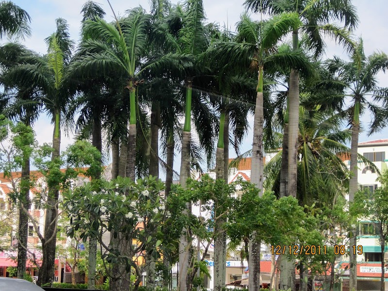 Karon - Karon, Mueang Phuket District, Phuket, Thailand