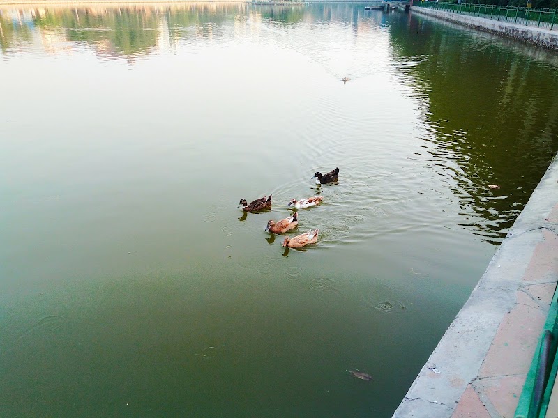 Naini Lake - Naini Lake, Block A 2, Model Town Phase I, Model Town, New Delhi, Delhi, 110033, India