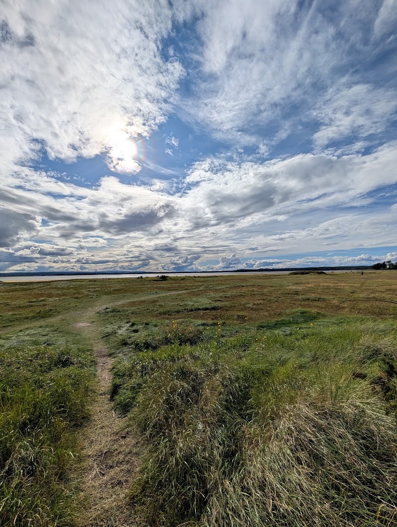 Findhorn Bay Local Nature Reserve