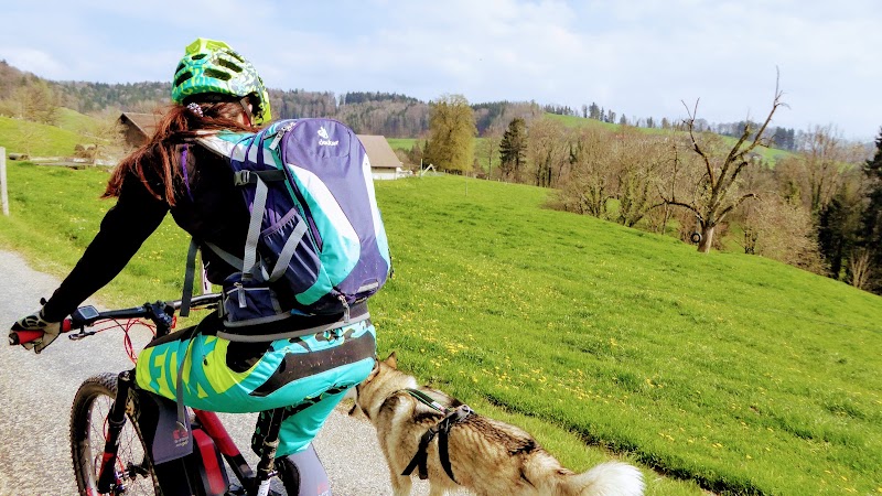 Bikelady.ch_Socialrides - Bikelady.ch_Socialrides Höhenweg 9, 9000 St. Gallen, Switzerland