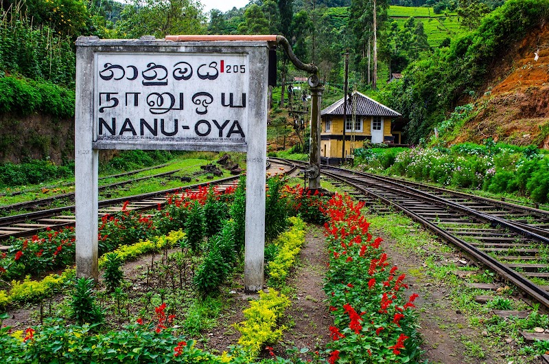 Nanuoya - Nanuoya, Avissawella - Hatton - Nuwara Eliya Hwy, Nanuoya 22150, Sri Lanka