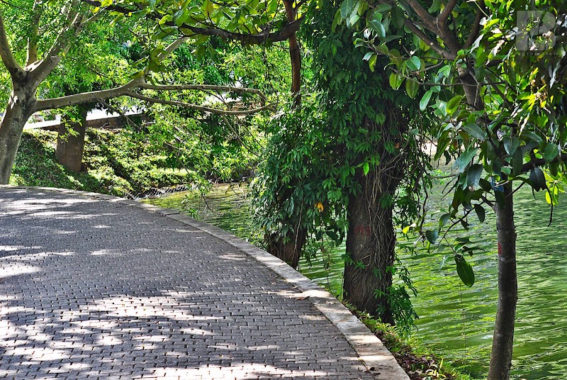 Kandy Lake - Kandy Lake, Kandy, Sri Lanka