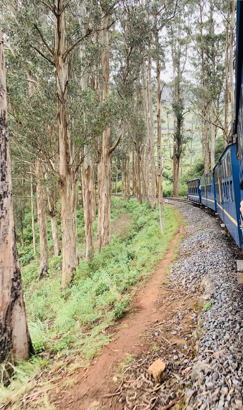 Nilgiri Mountain Railways - Nilgiri Mountain Railways 8QHV+FV9, NH 181, Glendale, Huligal, Tamil Nadu 643102, India