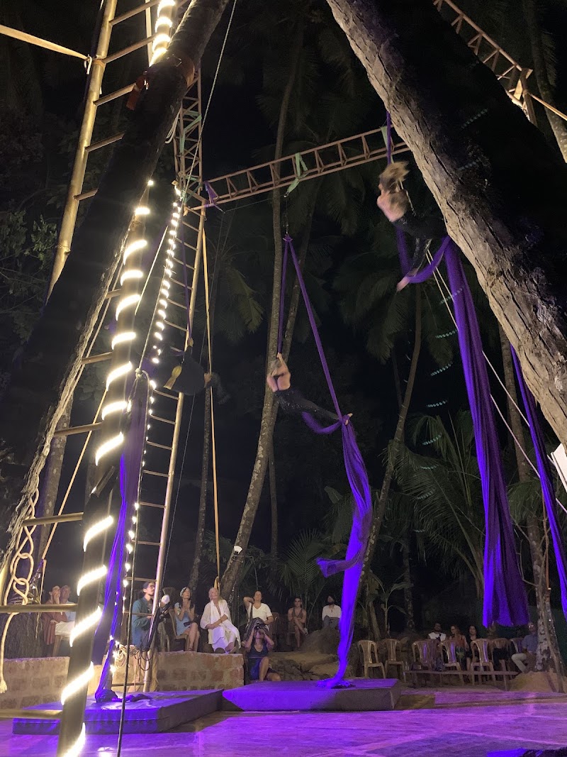 Bliss Circus - Bliss Circus Ourem Rd, inside Traverse Hostel, Mohanbagh, Palolem, Canacona, Goa 403702, India