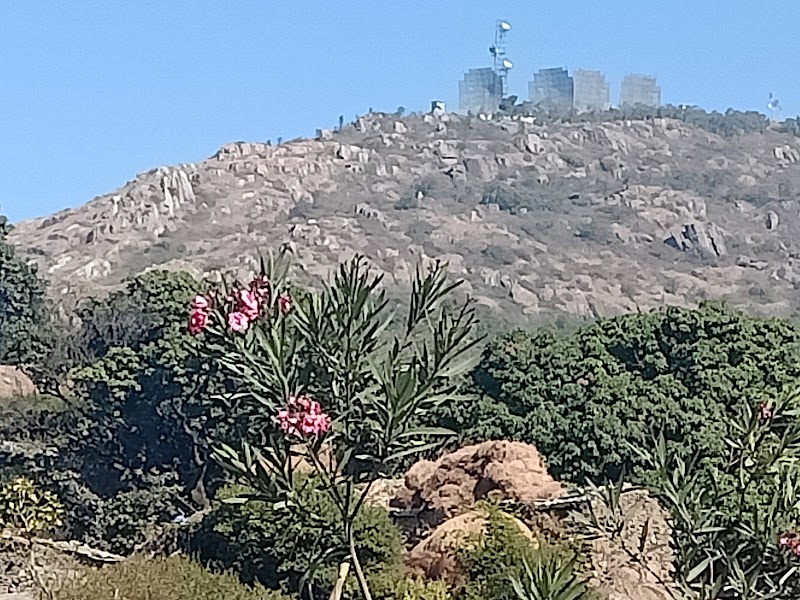 Guru Shikhar Mount Abu - Guru Shikhar Mount Abu JQXG+XR8, Uttaraj path, Uttaraj, Rajasthan 307501, India