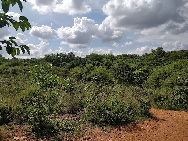 Bangalore University Bio Park Trail