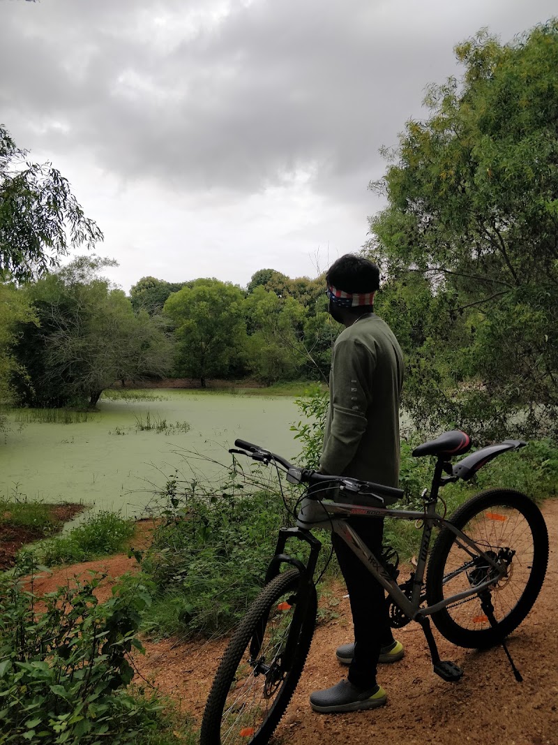 Babasaheb Dr. B R Ambedkar forest Path - Babasaheb Dr. B R Ambedkar forest Path WGQ4+HQ, Mutharayana Nagar, Gnana Bharathi, Bengaluru, Karnataka 560056, India
