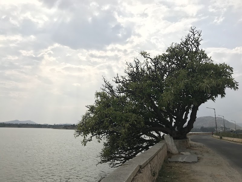 Bhairasagara lake - Bhairasagara lake, MP89+FWH, Amani Byrasagara, Karnataka 561209, India
