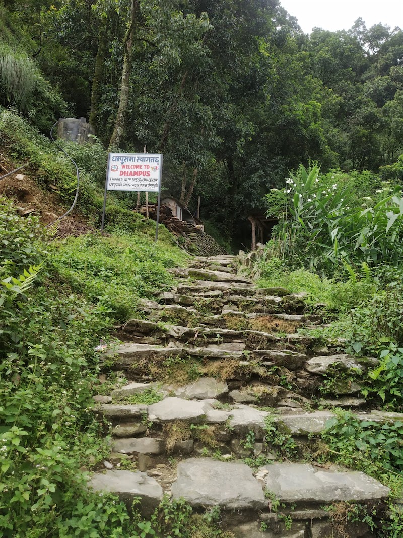 Phedi Restaurant फेदी रेष्टुरेन्ट - Phedi Restaurant फेदी रेष्टुरेन्ट, Phedi, Pokhara - Baglung Hwy, Dhital 33700, Nepal