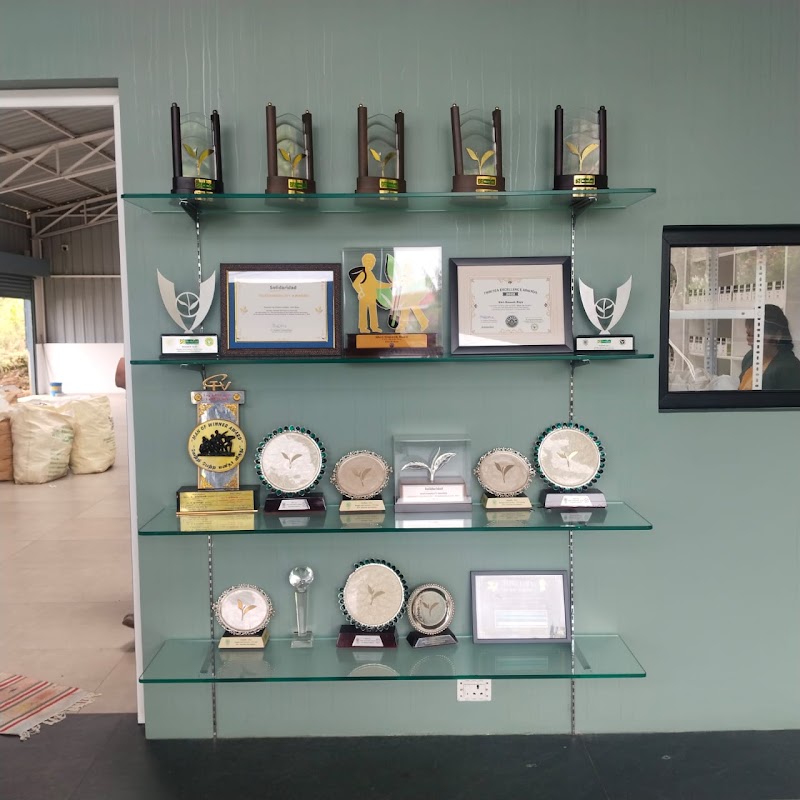 Darmona Tea Factory - Darmona Tea Factory, Waterfalls Road, Kotagiri, Tamil Nadu 643201, India