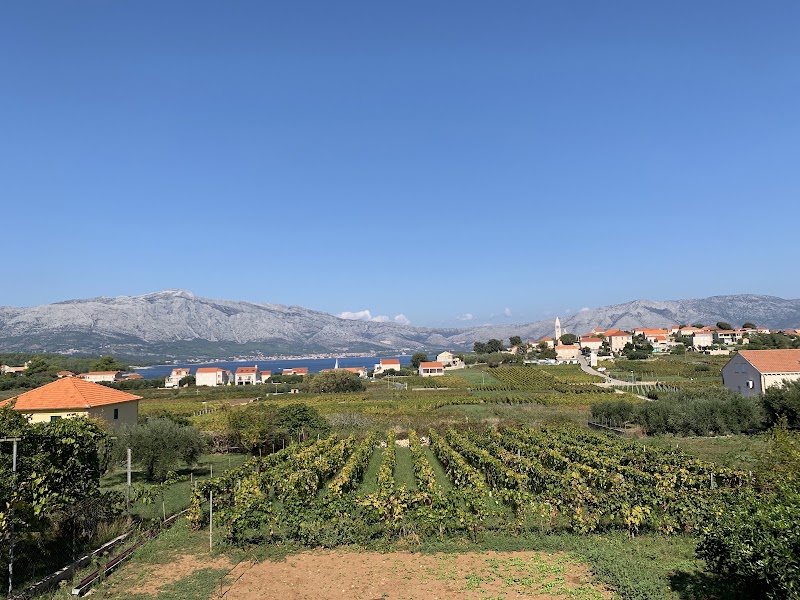 Vitis Winery - Vitis Winery, Lumbarda 474, 20263, Lumbarda, Croatia